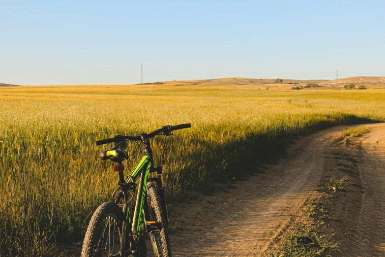 bike resting against a rural dirt road next to a field