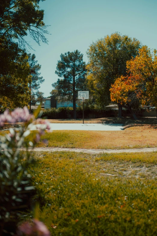 a street view of an empty grass field