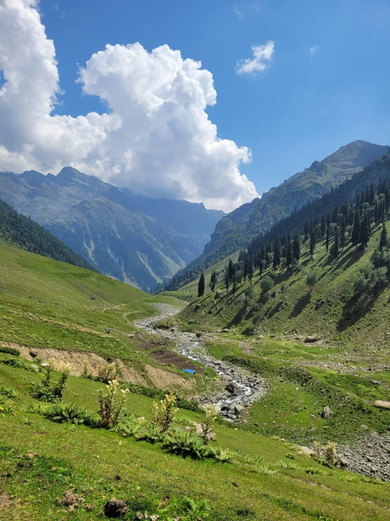 a beautiful view of mountains with stream and trees on the side