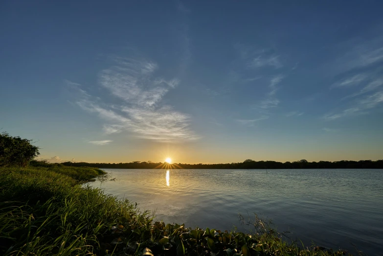 the sun sets over a lake with tall grass