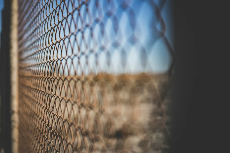 a close up po of an animal and chain link fence