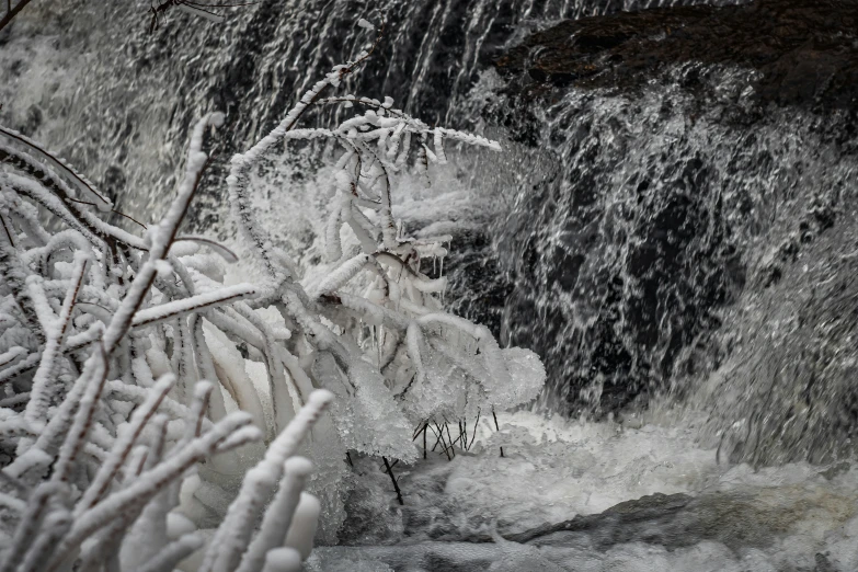 an image of snow on nches near water