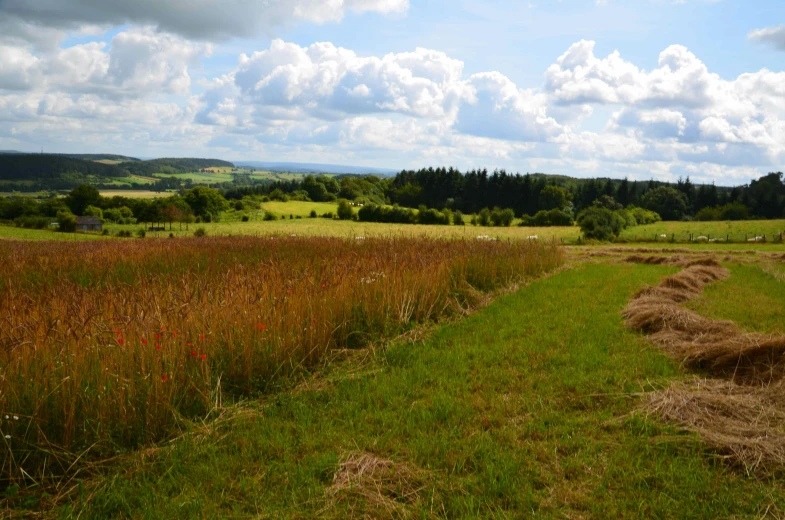 the view from a grassy field with bales of hay on it