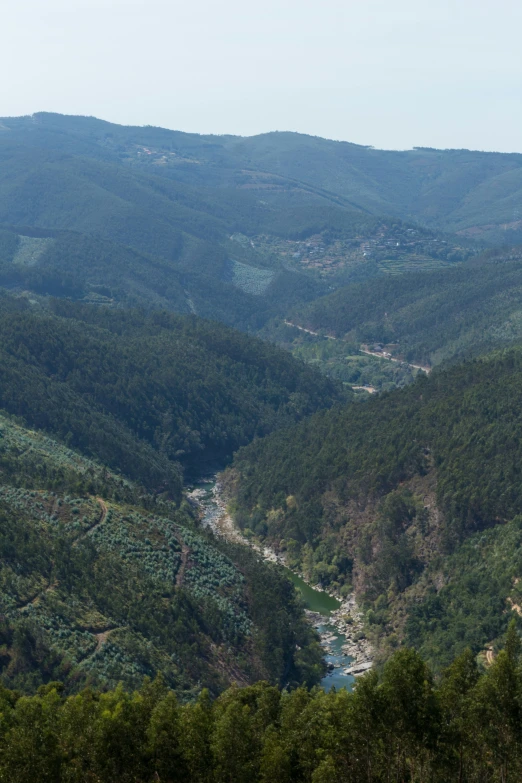 a valley is seen with a small river in the middle