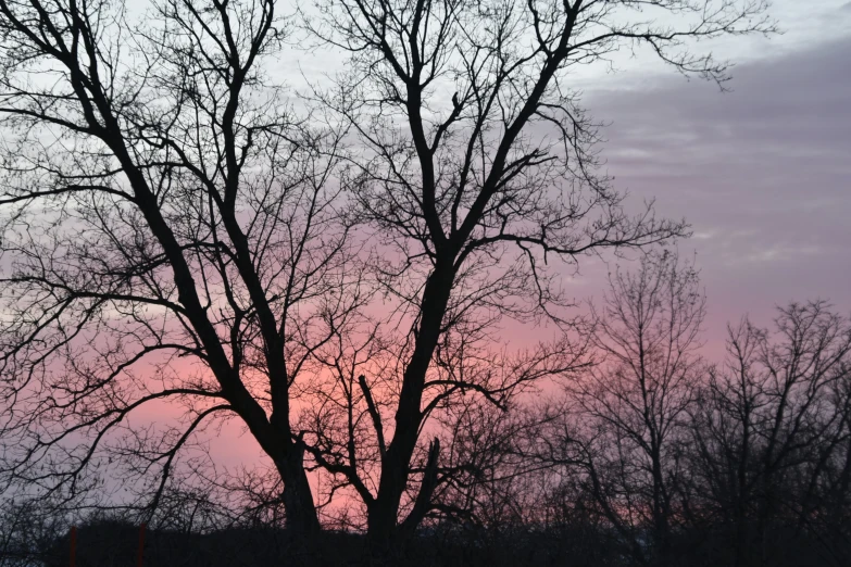 a bench is silhouetted by a tree as the sun sets