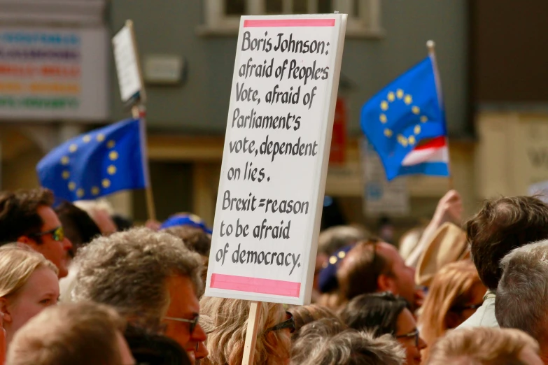 many people standing in a crowd with signs and flags