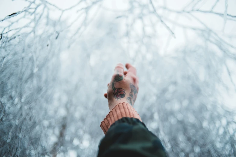 someone is reaching up into the sky toward a tree filled forest