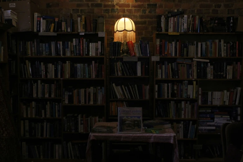 bookshelves and lamp in an old dark room