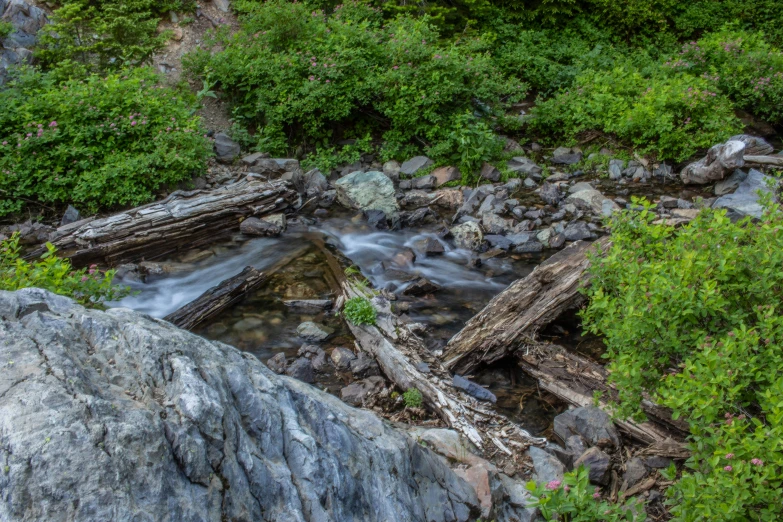 the rocks near the creek are in the middle