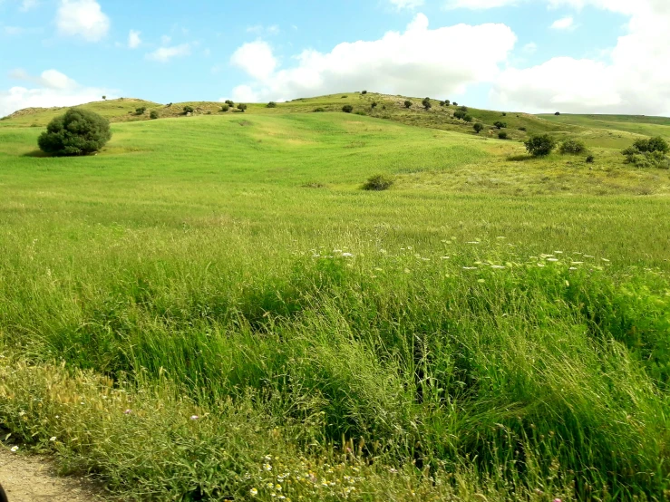 a road passes through the countryside with grass