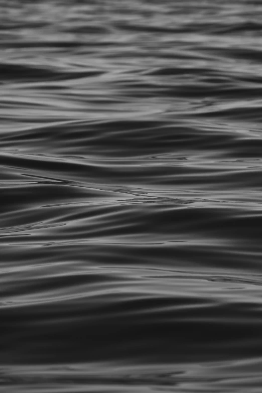 black and white pograph of wavy water