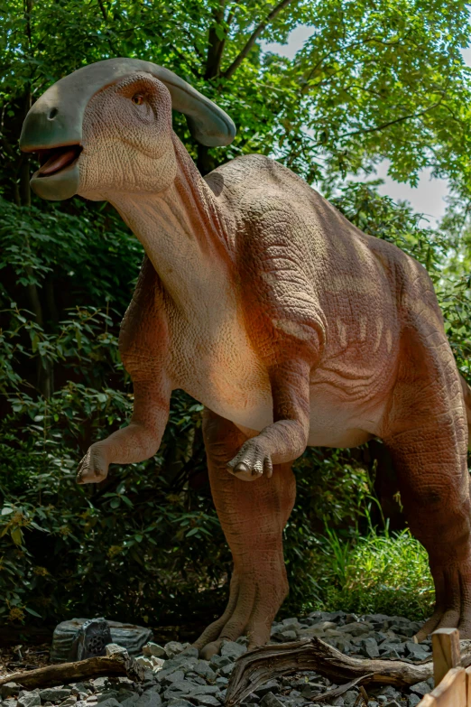 a dinosaur is standing on rocks next to some trees