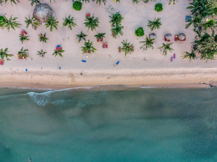 a beach on a small island with palm trees and houses