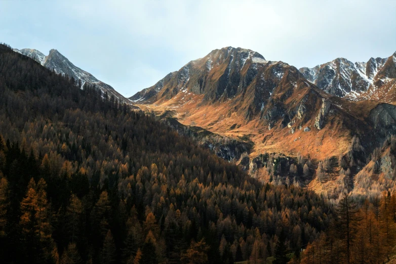 a large mountain with some trees on top