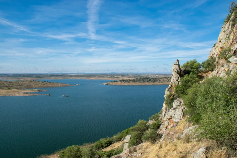 a lone goat stands on a hill overlooking a lake