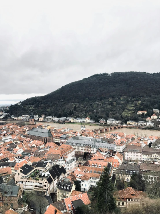 view of an orange roofed city from a hill