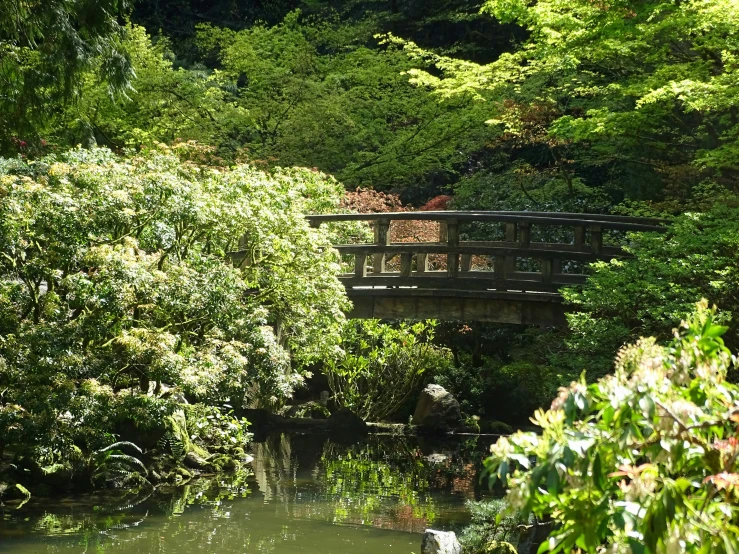 a wooden bridge above a body of water near trees