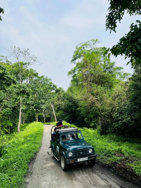 an old car on the side of the road with trees around it