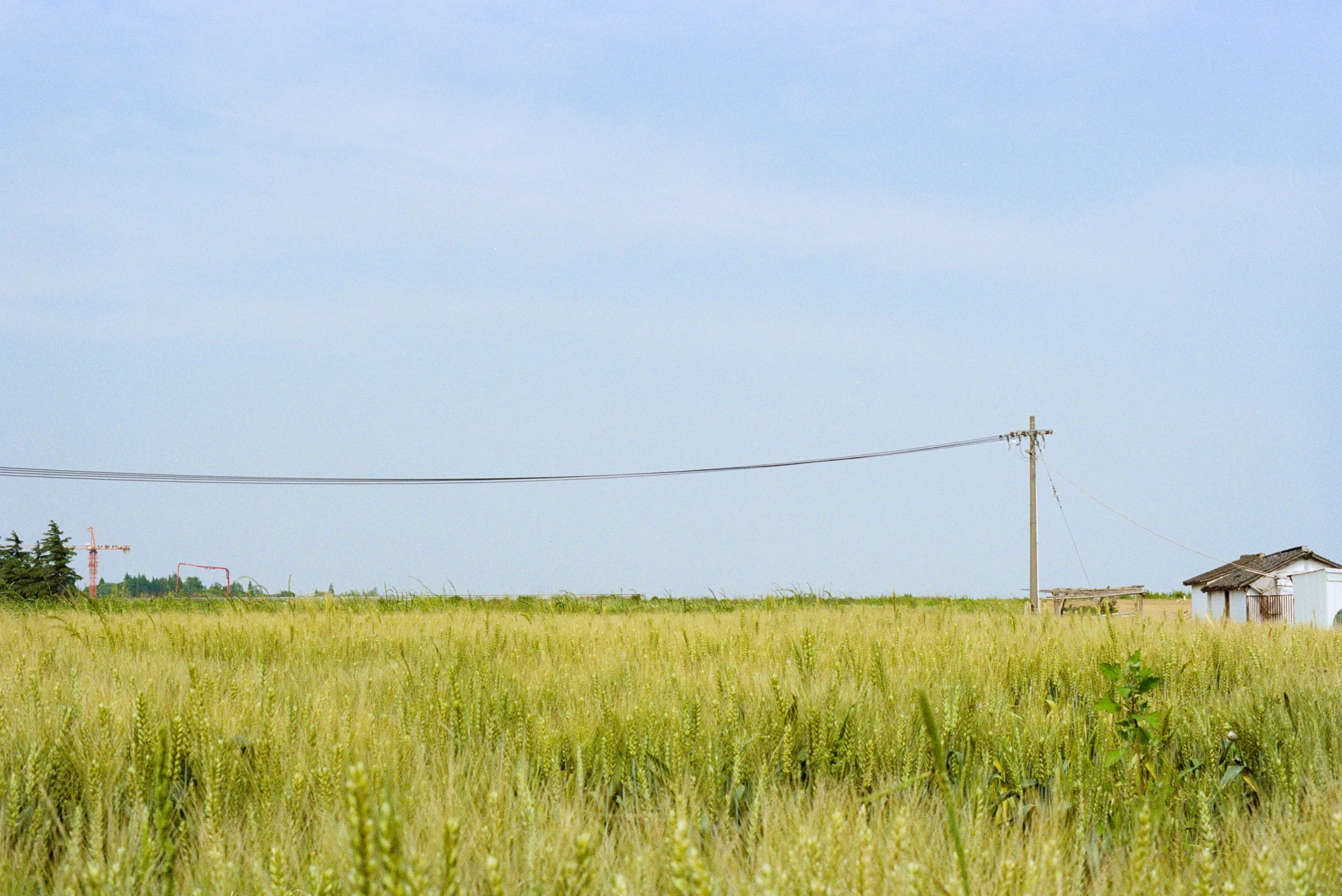 a view of an old farmhouse in a field