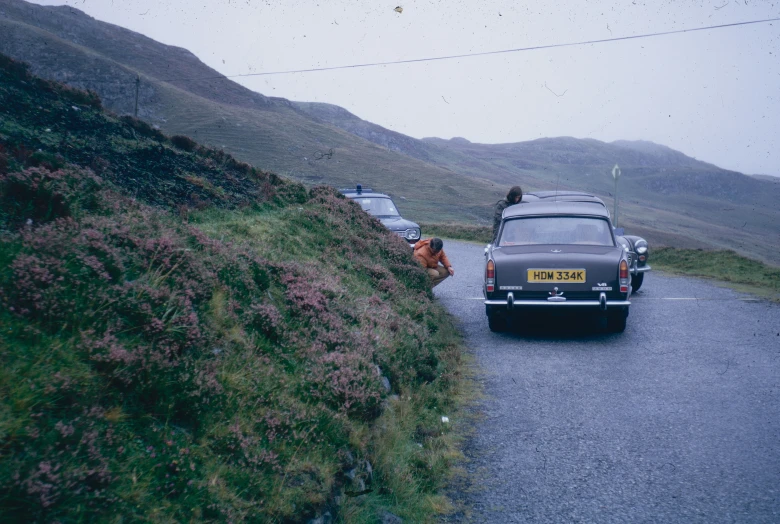 there is a dog standing at the end of the road