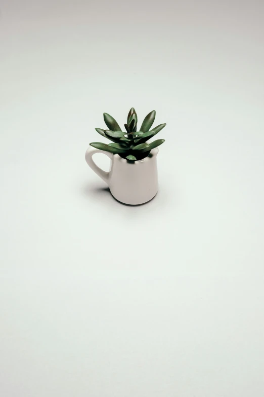 a mug is holding a small plant with one flower