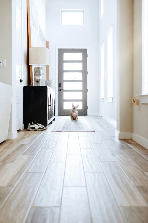 a room with white walls and wooden floors