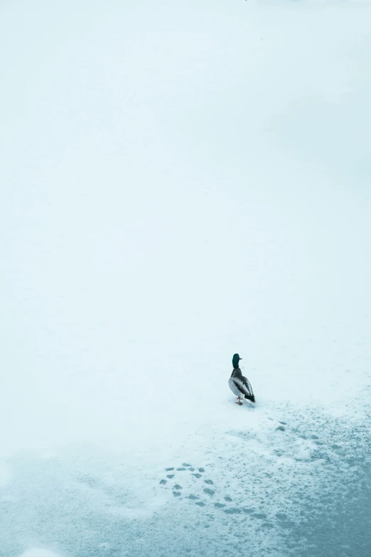 two men riding snow boards on a snow covered slope