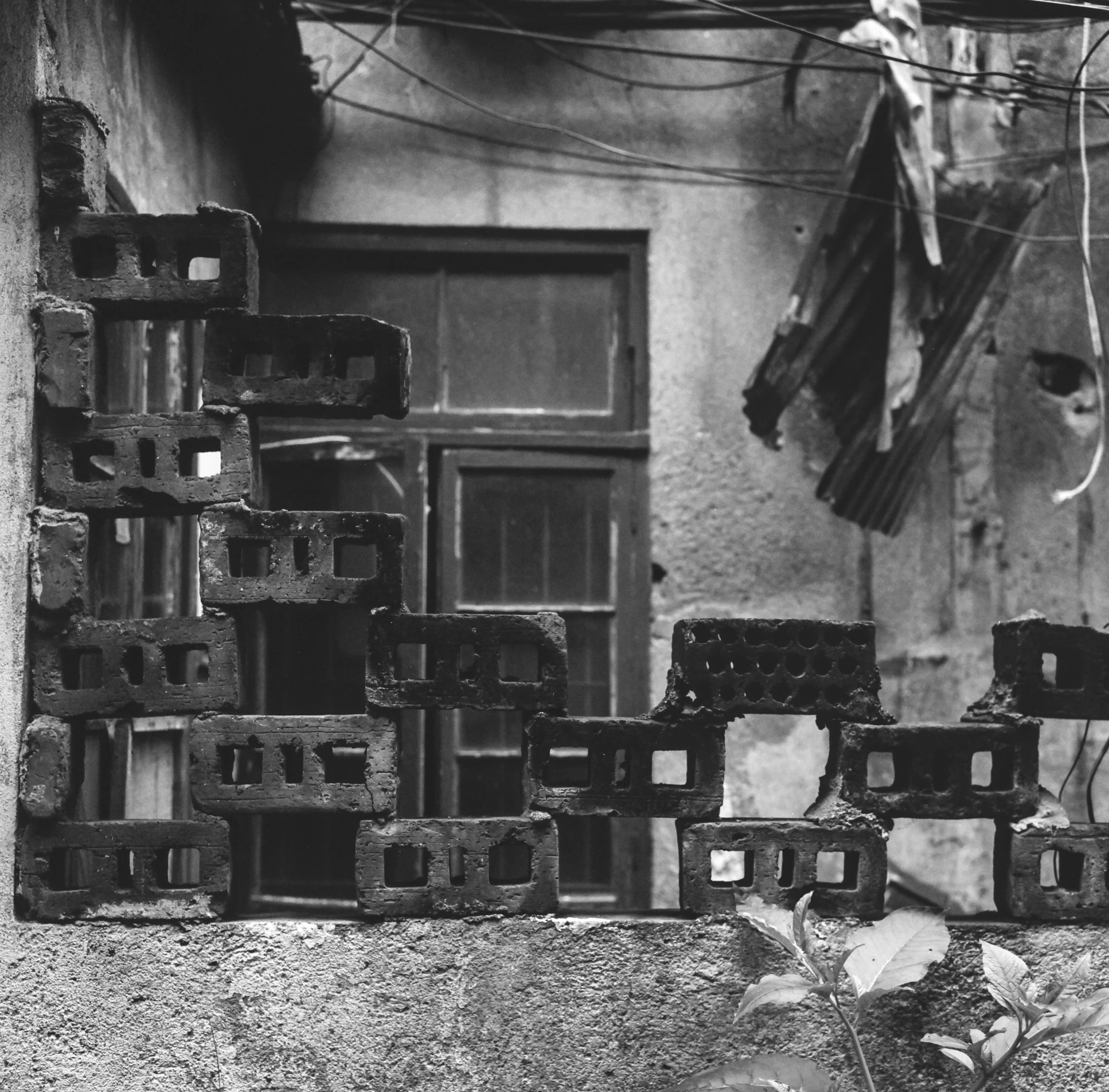 black and white image of windows in the back wall of a house