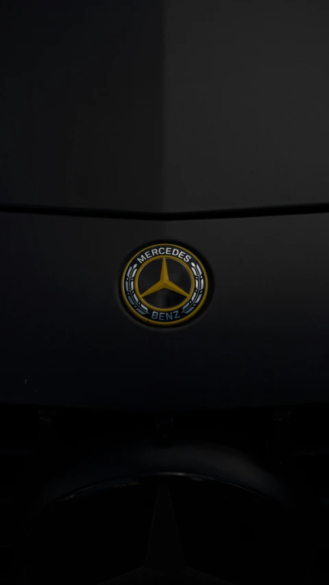 a car emblem on its bumper can be seen in this image