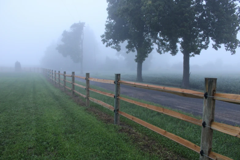 a wooden fence in front of trees is surrounded by fog