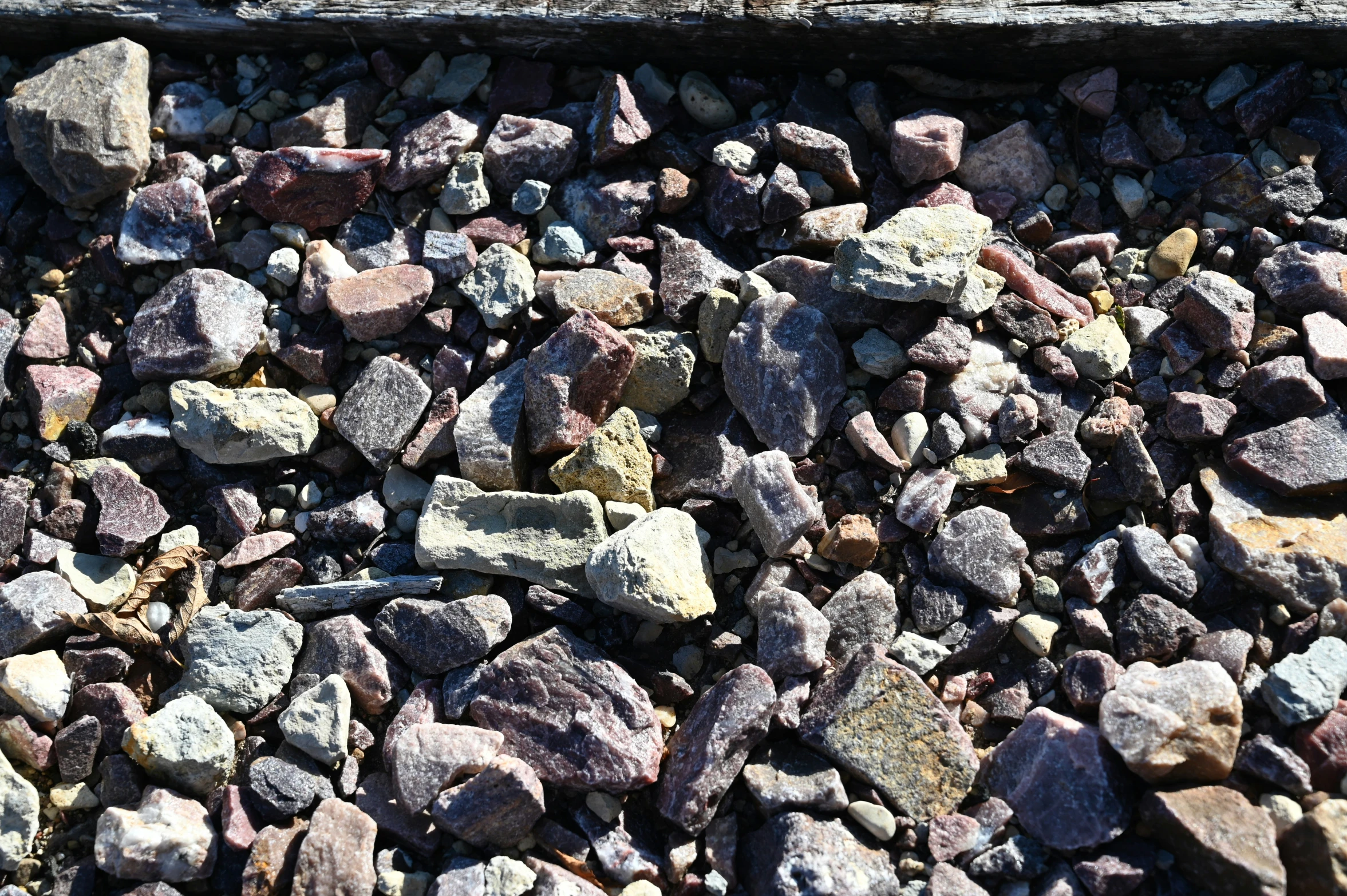 rocks and dirt on a sandy ground