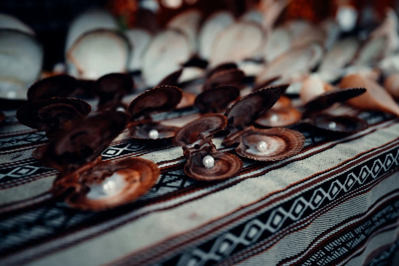 shells on top of a table are shown with drops of water