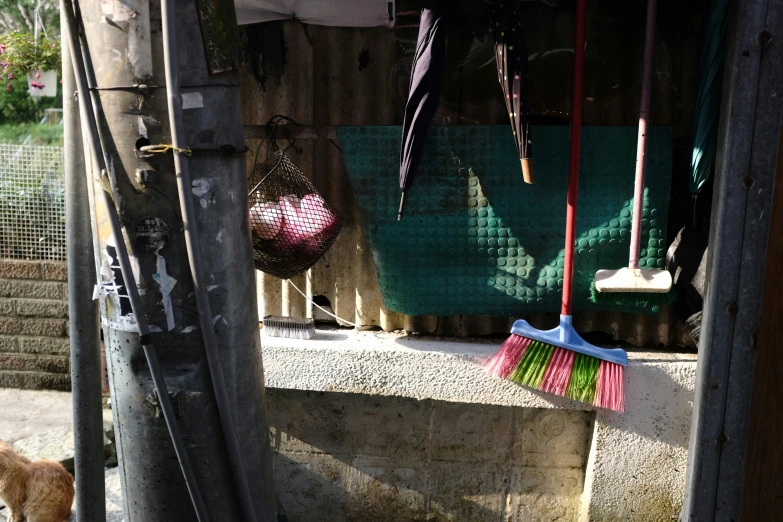 brooms hanging outside near a street next to a wall