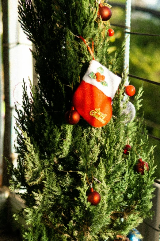 a small christmas tree that is under some lights