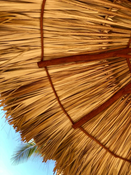 a picture of some straw umbrella in the beach