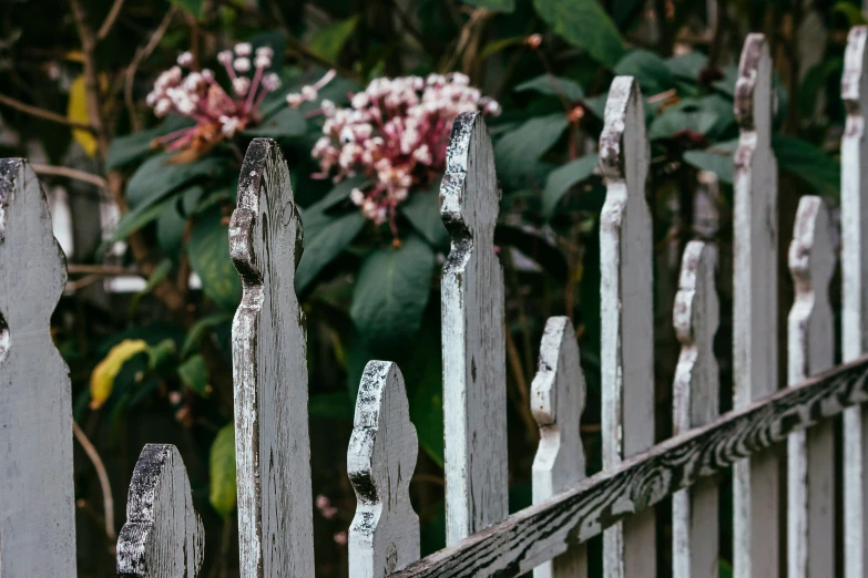 a grey fence is near some pink flowers