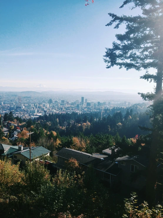 a scenic view of the city and mountain range