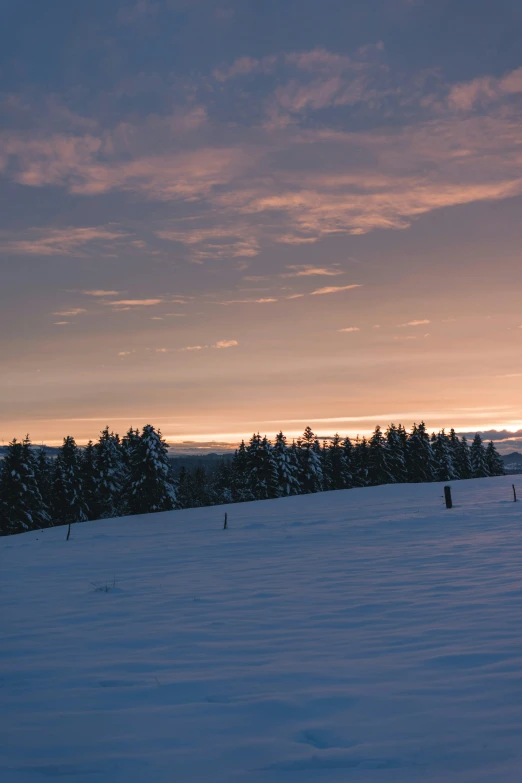 a snowy field that is surrounded by trees