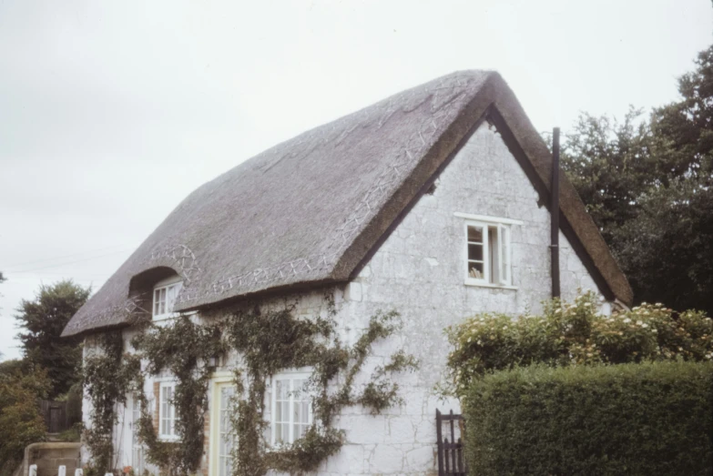 a large white house with ivy covered walls