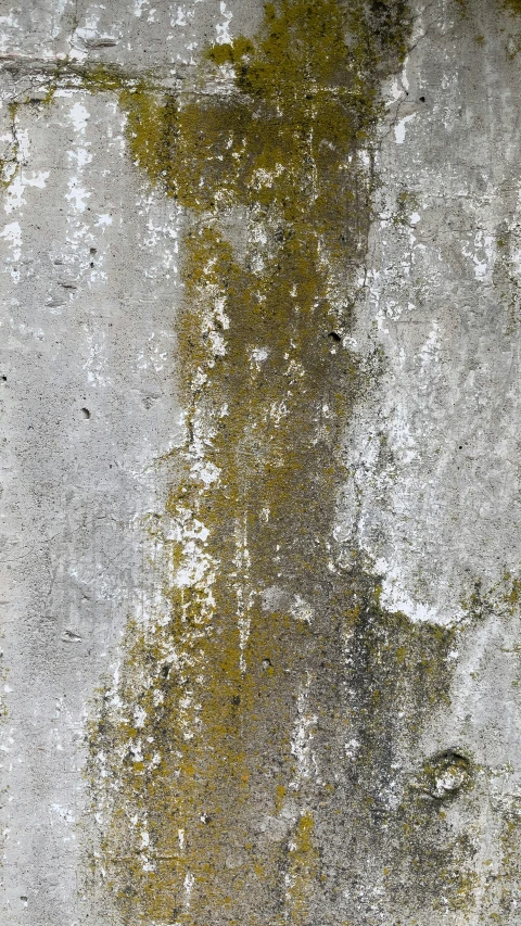 a white wall with green paint on it