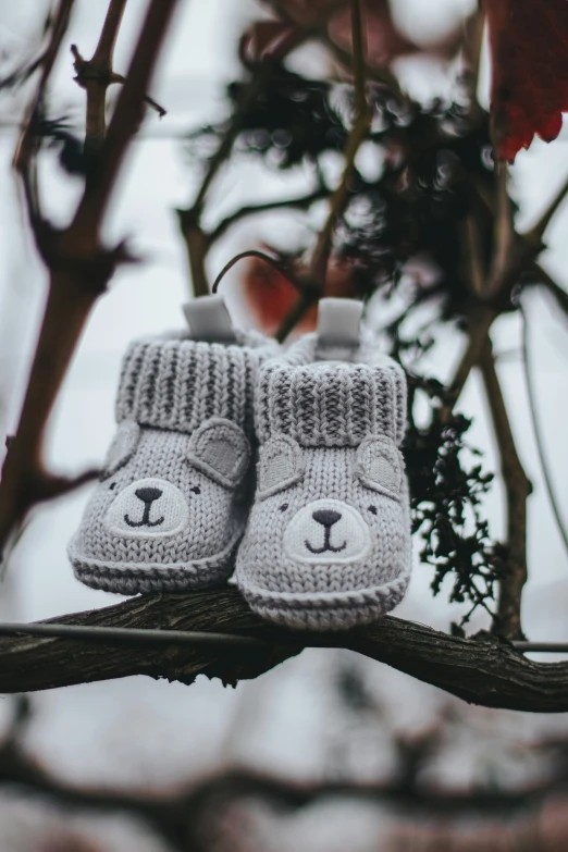 a small grey teddy bear booties hangs on a tree nch