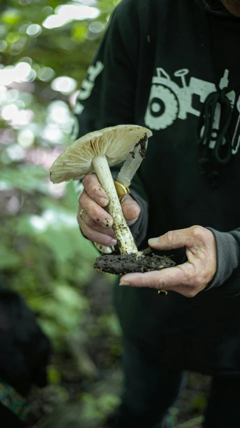 a person in a hoodie holding a mushroom