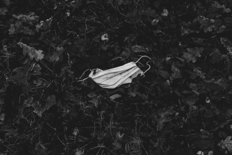 an image of a mask laying in the grass