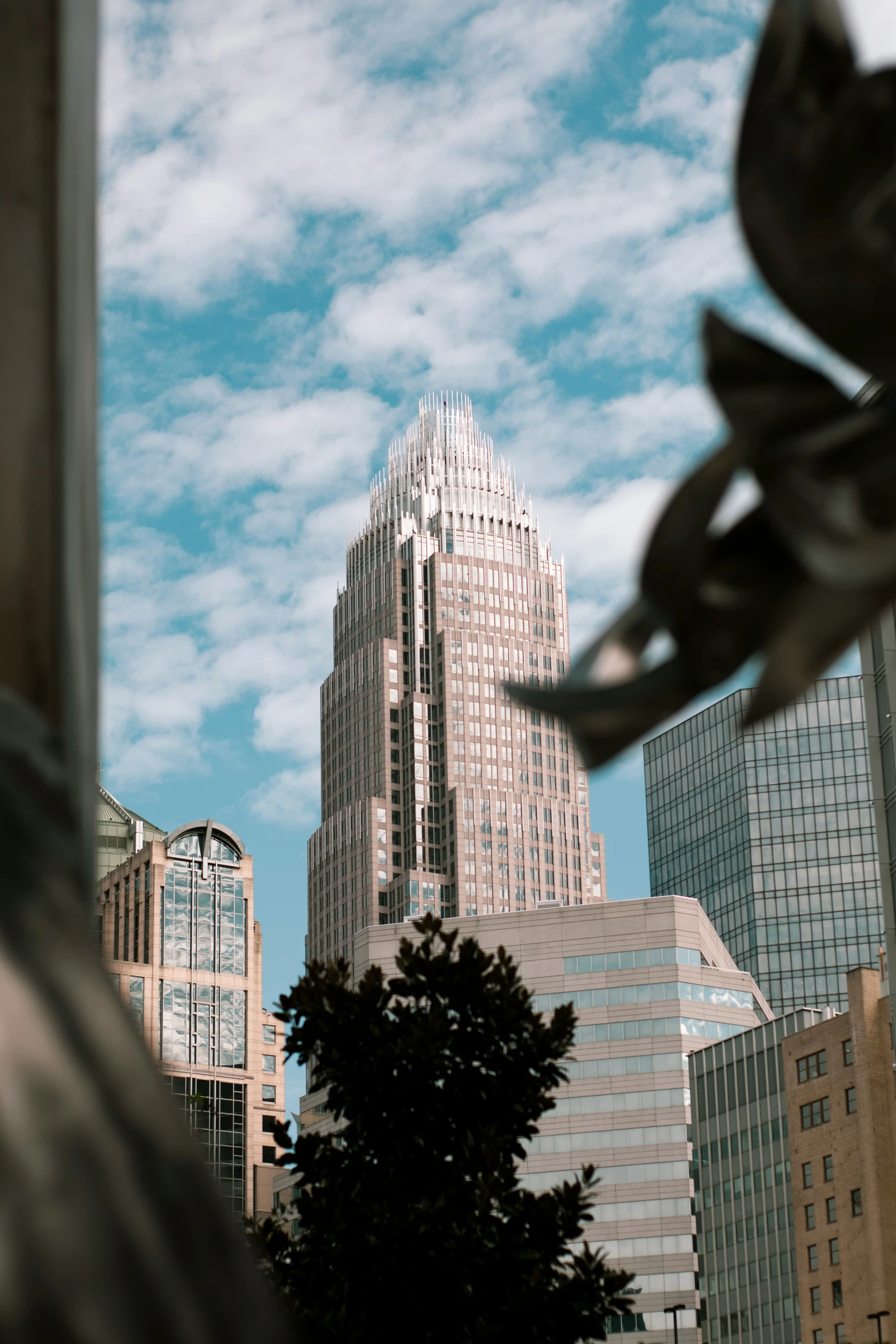 a view of skyscrs and trees from the roof of a building