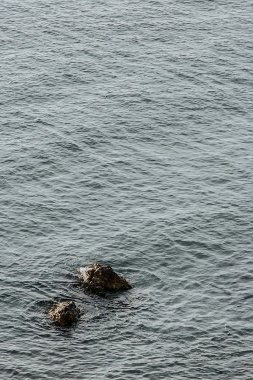 a lone rock sticking out of the water