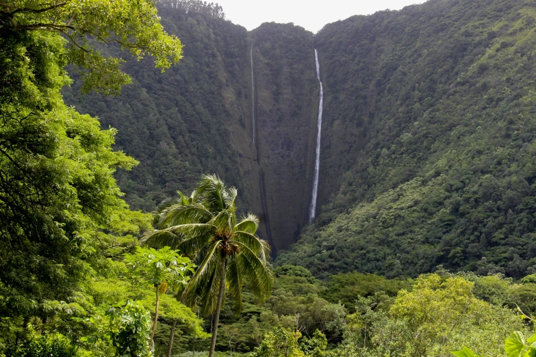 large waterfall in middle of green mountain with trees