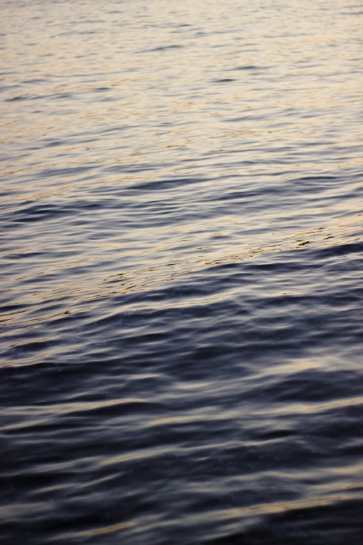 surfer riding a wave in the ocean at sunset