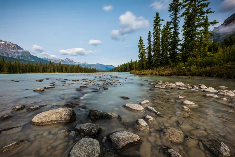 rocks in the water and forest around them