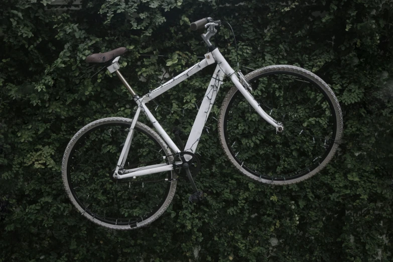 an overhead s of a bike parked against a tree