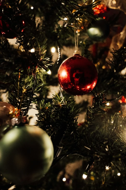 there is a red and green christmas ball on a tree